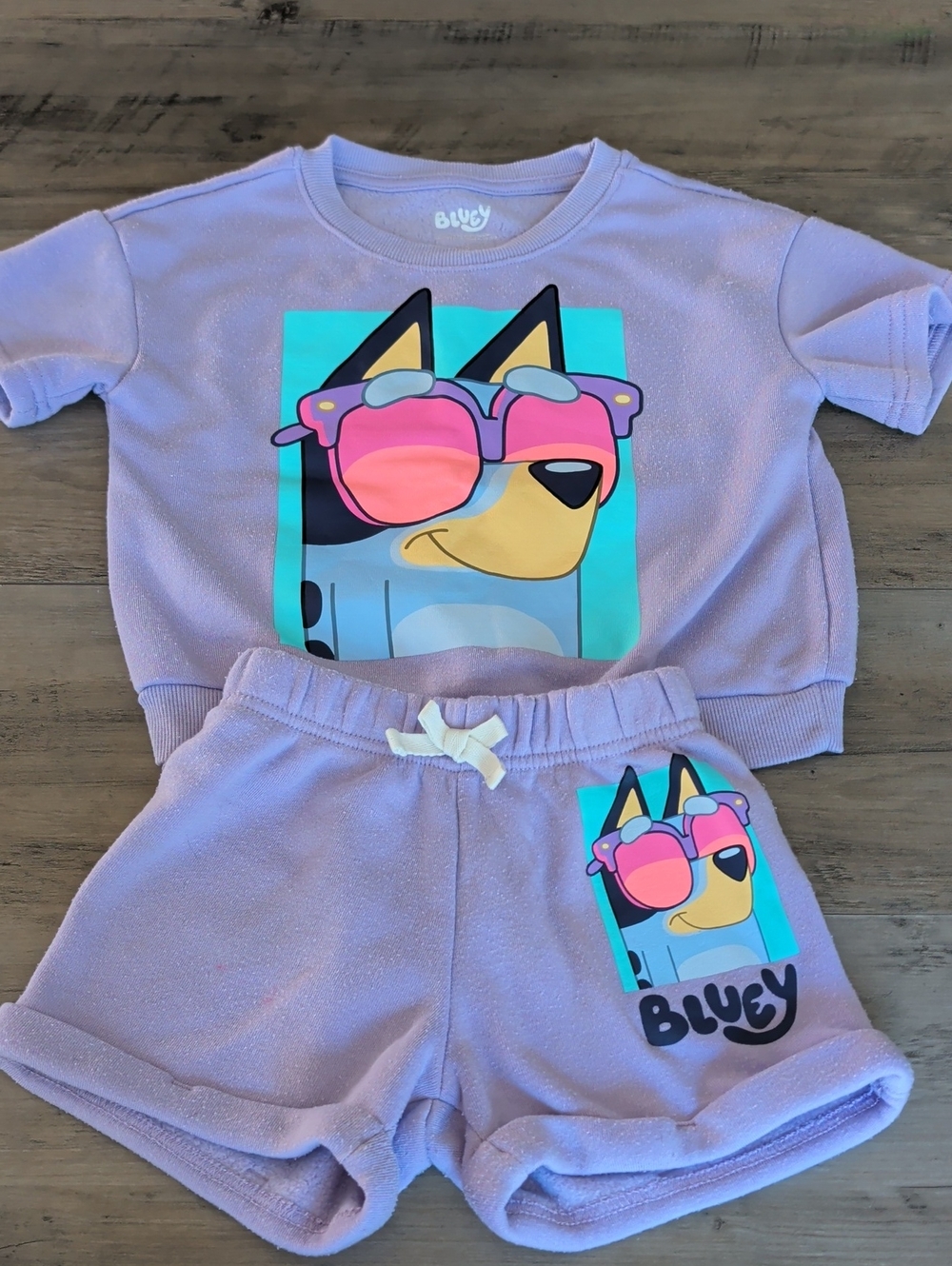 Bluey Girls 5T Sweatshirt Material Shirt & Shorts